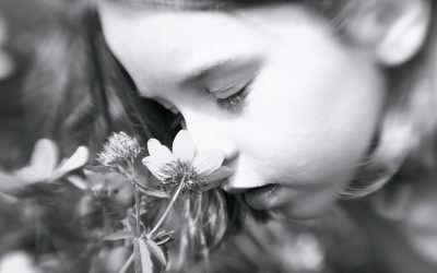 L’odorat : Un sens peu connu et fascinant